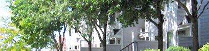 Townhomes and Trees