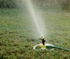 Sprinkler on Lawn