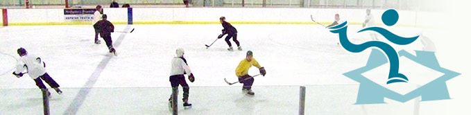 Skaters on the Pavilion Ice
