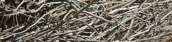 Pile of Multiple Sticks